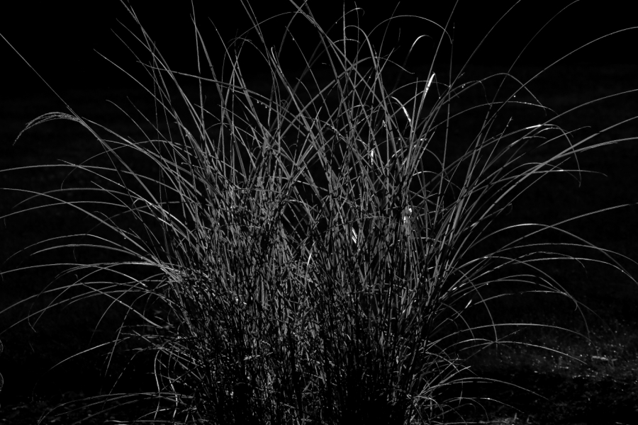 2012 07 16 9025ebw